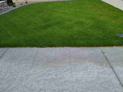 Lawn care service in Greeley, 80634