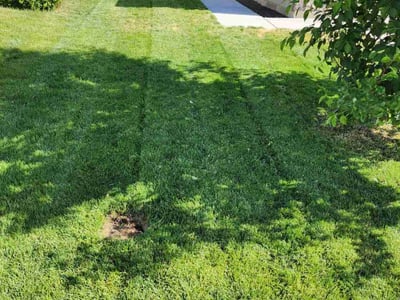 Lawn care service in Boise, 83709