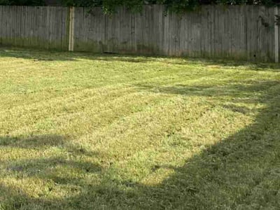 Lawn care service in Euless, 76039