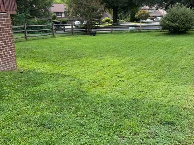 Lawn care service in Wilmington, 19808