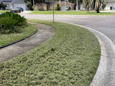 Lawn care service in Orlando, 32817
