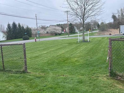 Lawn care service in Castleton-on-Hudson, 12033