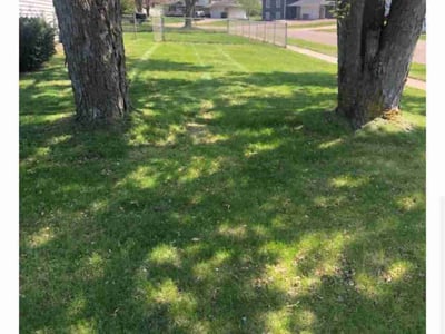 Lawn care service in Apple Valley, 55124
