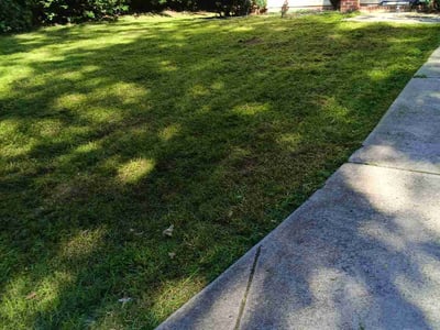 Lawn care service in Charlotte, 28269