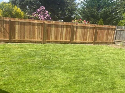 Lawn care service in Eugene, 97402