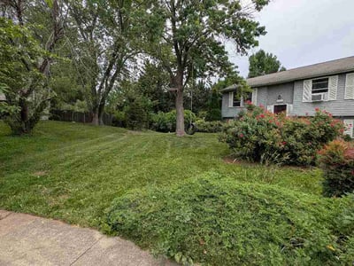 Lawn care service in Frederick, 21703