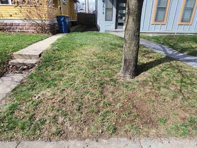 Lawn care service in Indianapolis, 46205