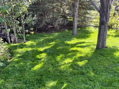 Lawn care service in Boulder, 80301