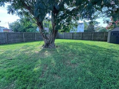 Lawn care service in Norfolk, 23503