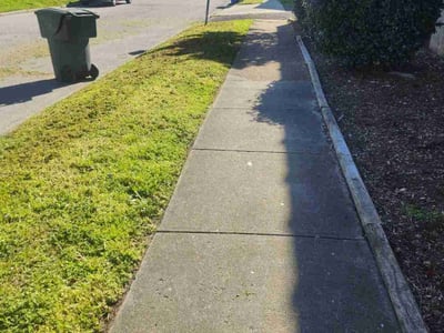 Lawn care service in Norfolk, 23508