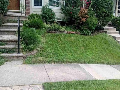 Lawn care service in Rosedale, 21237