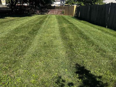 Lawn care service in Kansas City, 64155