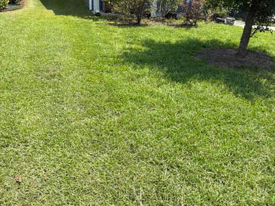 Lawn care service in Charleston, 29414