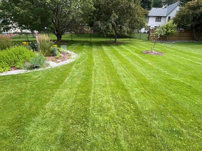 Lawn care service in Lakeville, 55044