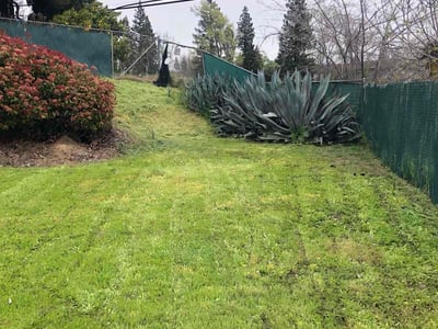 Lawn care service in North Highlands, 95660