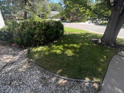 Lawn care service in Littleton, 80128
