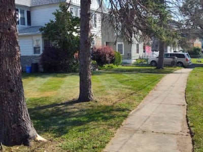 Lawn care service in Elmira, 14901
