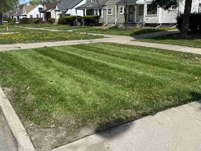 Lawn care service in Detroit, 48228