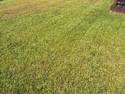 Lawn care service in Fuquay-Varina, 27526