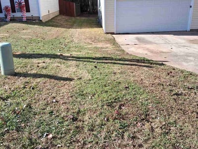 Lawn care service in Charlotte, 28215