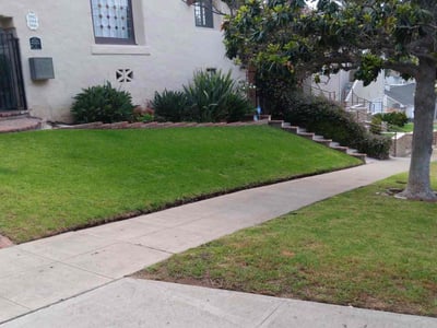Lawn care service in Los Angeles, 90034