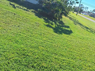 Lawn care service in Englewood, 34224
