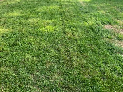 Lawn care service in Omaha, 68104