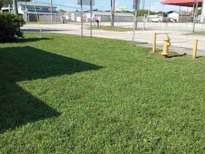 Lawn care service in Miami, 33179