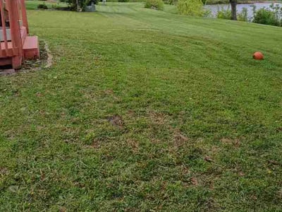 Lawn care service in Romeoville, 60446