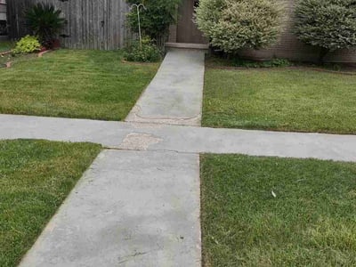 Lawn care service in New Orleans, 70124
