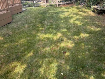Lawn care service in Littleton, 80127