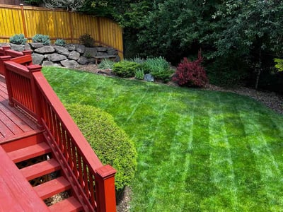 Lawn care service in Newcastle, 98059