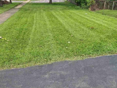 Lawn care service in Country Club Hills, 60478