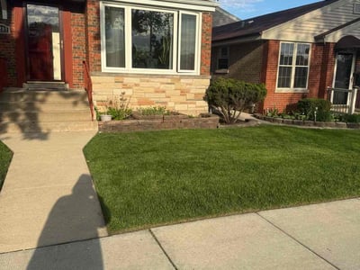 Lawn care service in Chicago, 60655