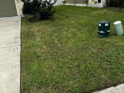 Lawn care service in Round Rock, 78664