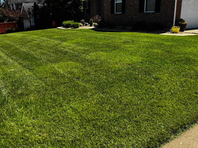 Lawn care service in Saint Charles, 63304