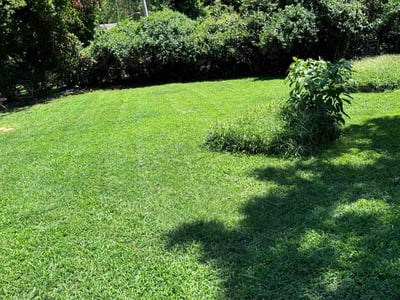 Lawn care service in Tulsa, 74112