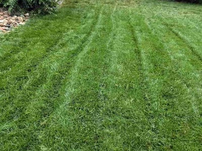 Lawn care service in Colorado Springs, 80905