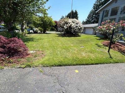 Lawn care service in Tacoma, 98445