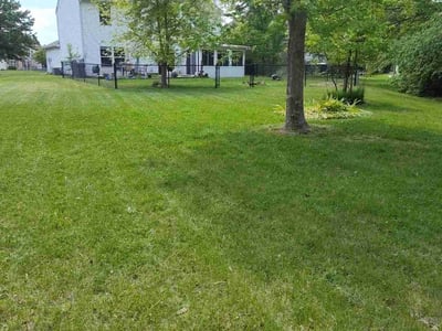 Lawn care service in Greenfield, 46140