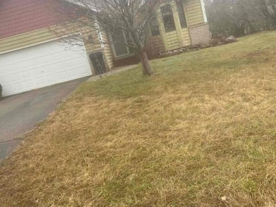 Lawn care service in , 