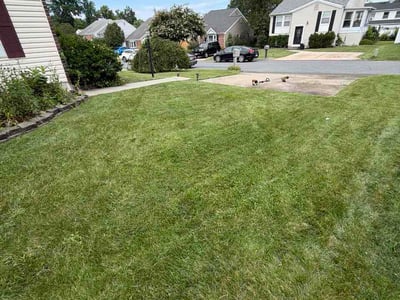 Lawn care service in Rosedale, 21237
