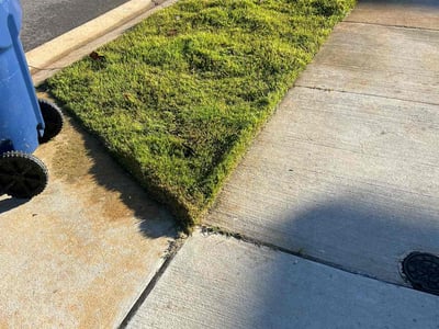 Lawn care service in Minneola, 34715