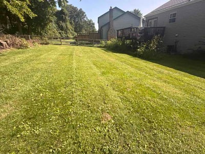 Lawn care service in Beckett Ridge, 45069