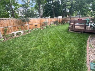Lawn care service in Littleton, 80123