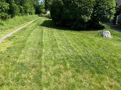Lawn care service in Easton, 18042