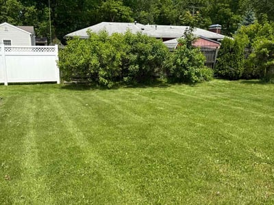 Lawn care service in Monroe, 48162