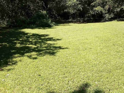 Lawn care service in Forest Park, 30297