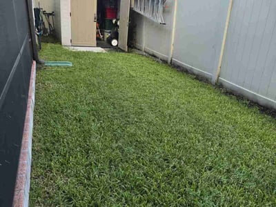 Lawn care service in Jacksonville, 32218