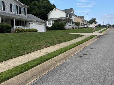 Lawn care service in La Plata, 20646